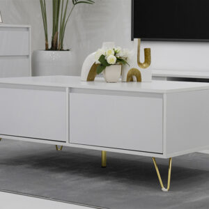 Stellate Coffee Table-White