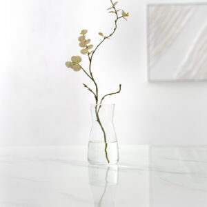 Atlas Clear glass vase 10.5x20cm