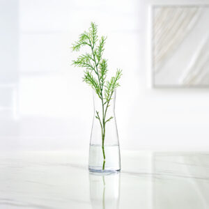 Atlas Clear glass vase 10x26cm