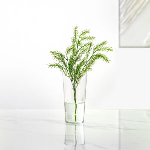 Atlas Clear glass vase 12.5x25cm