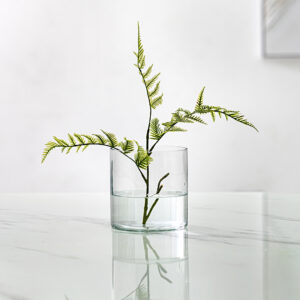 Atlas Clear glass cylinder vase 15x15cm