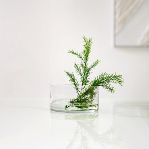 Atlas Clear glass cylinder vase 20x10cm