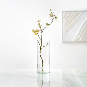 Atlas Clear glass cylinder vase 12x30cm