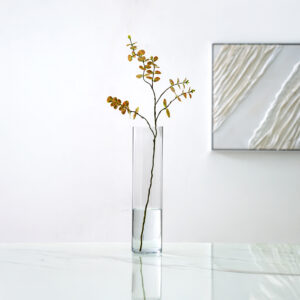 Atlas Clear glass cylinder vase 12x50cm