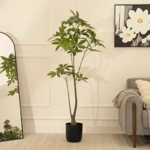 Claire Artificial Schefflera tree 150CM