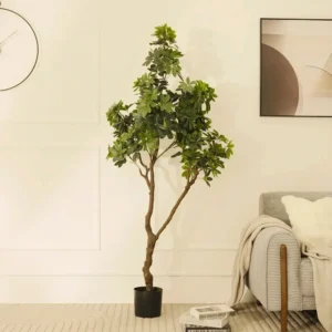 Claire Artificial Schefflera tree 200CM