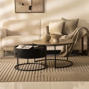 Elva 2 piece Coffee Table Set