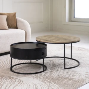 Elva 2 piece Coffee Table Set