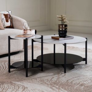 Canik 2 piece Coffee Table Set