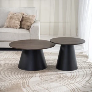Han 2-piece Coffee Table Set