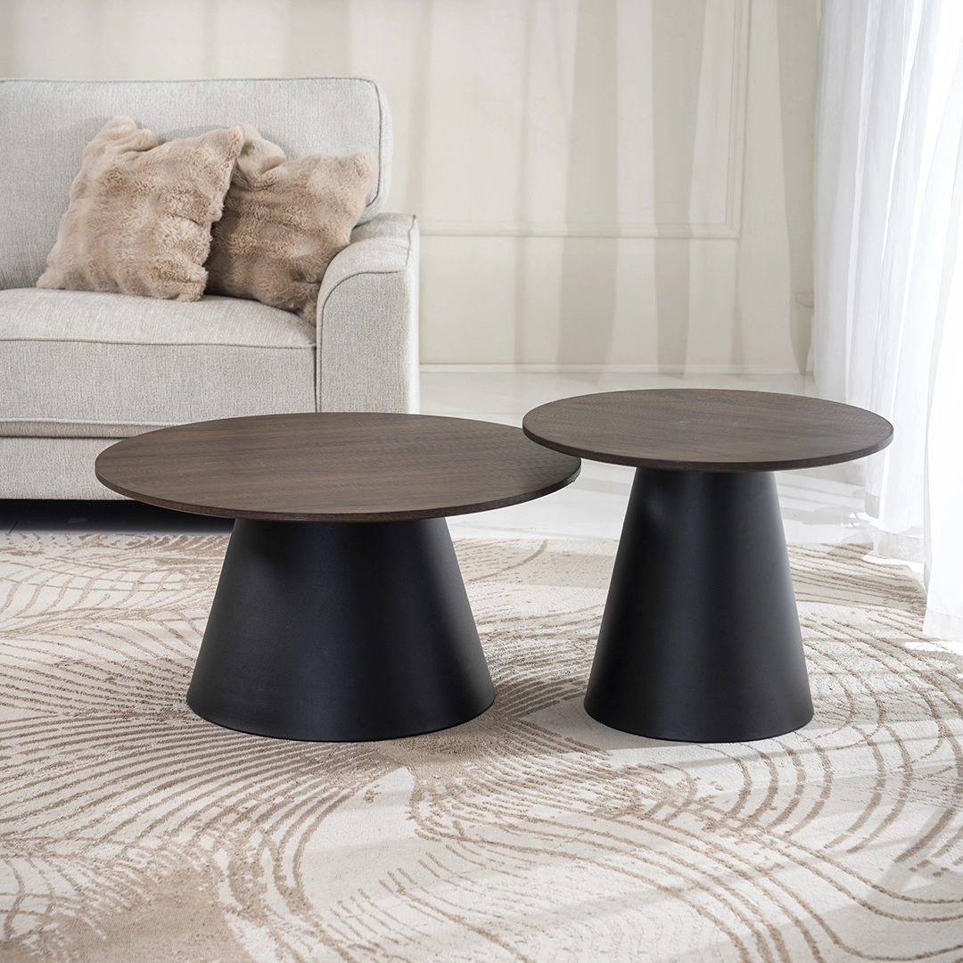 Han 2-piece Coffee Table Set