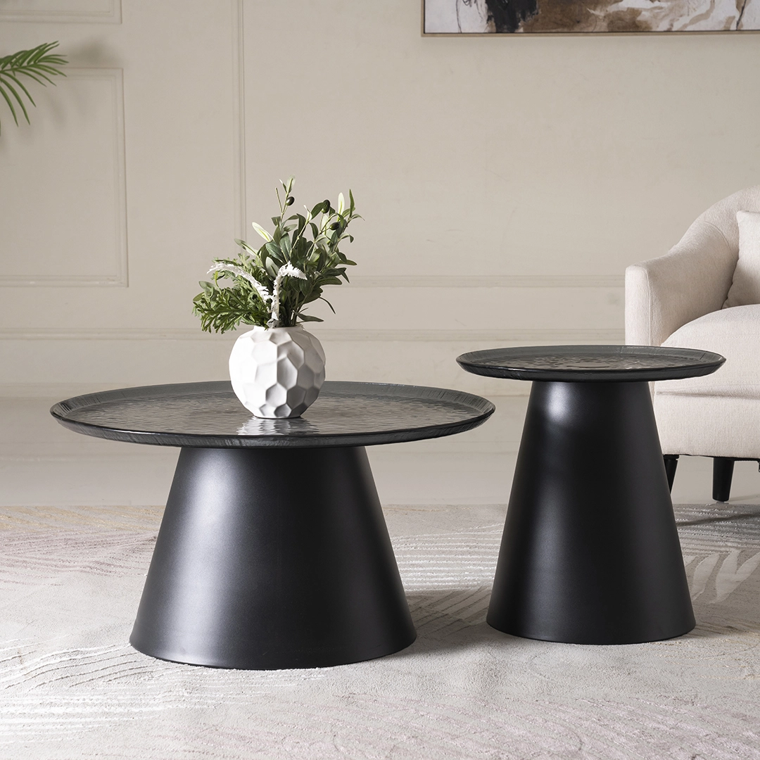 Reiko 2-piece Coffee Table Set