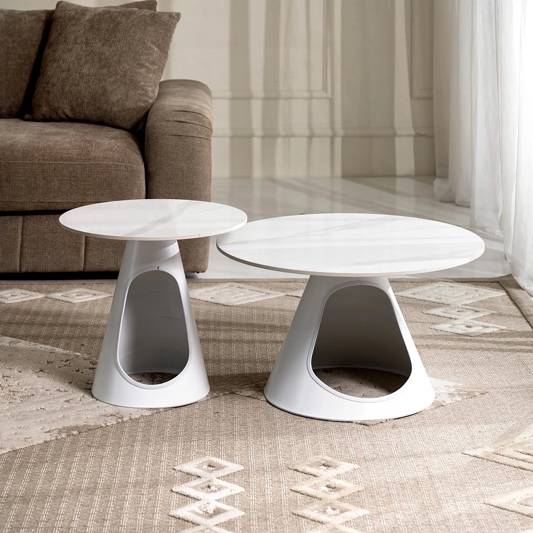 Sanchez 2-piece Coffee Table Set with pet house-White