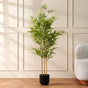 Grevia Bamboo Tree 150Cm