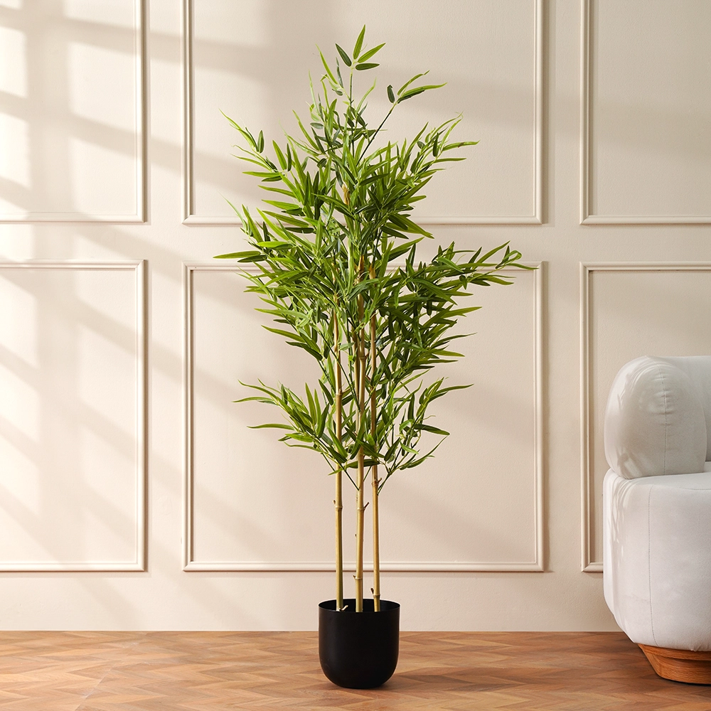 Grevia Bamboo Tree 150Cm