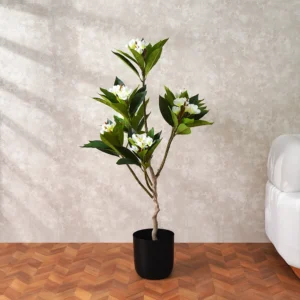 Grevia Egg Flower Tree 130Cm