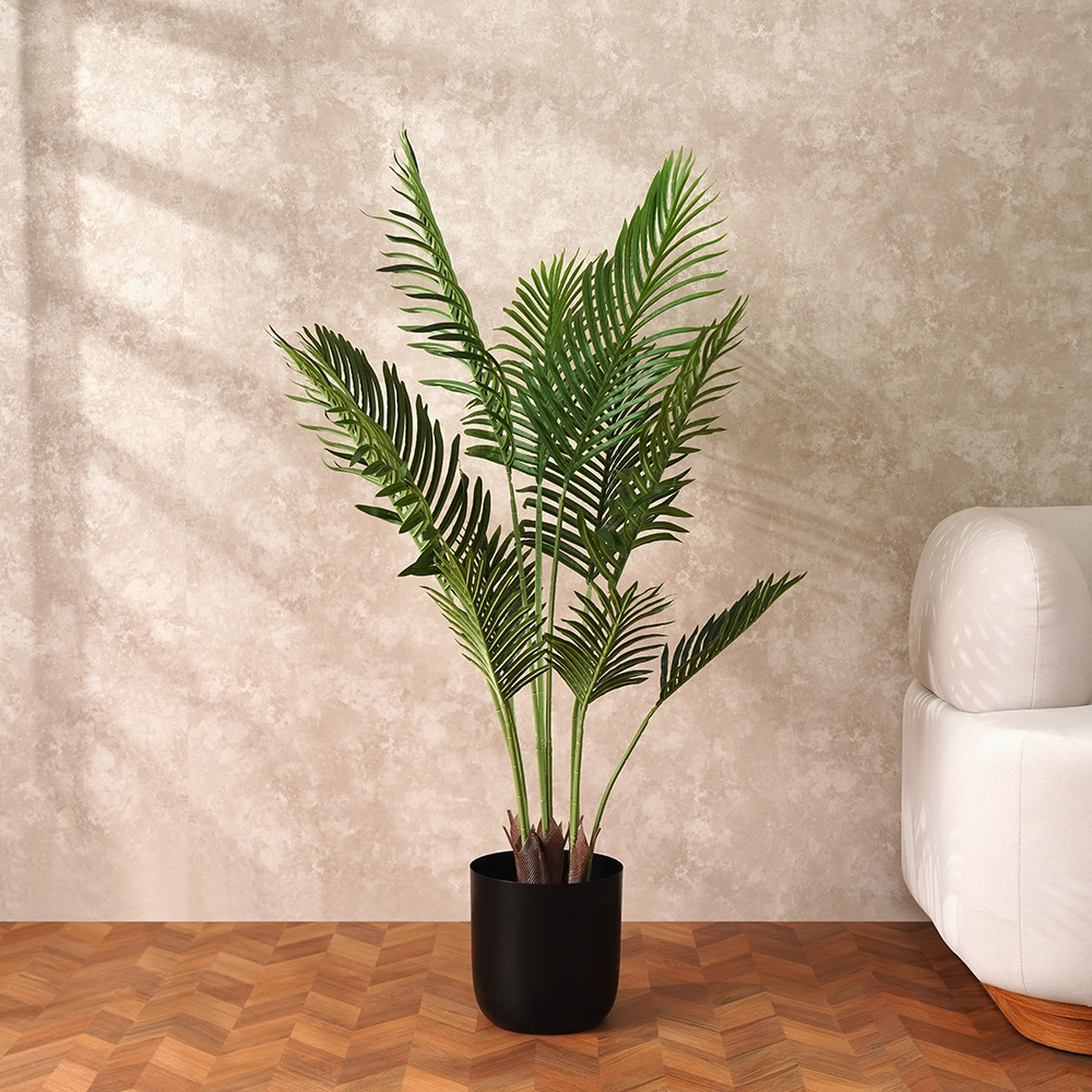 Grevia Paradise Palm 130Cm
