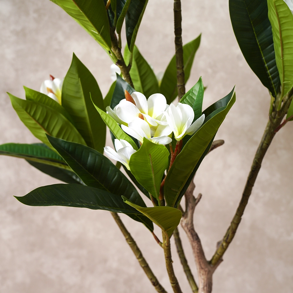 Grevia Egg Flower Tree 130Cm - Image 3