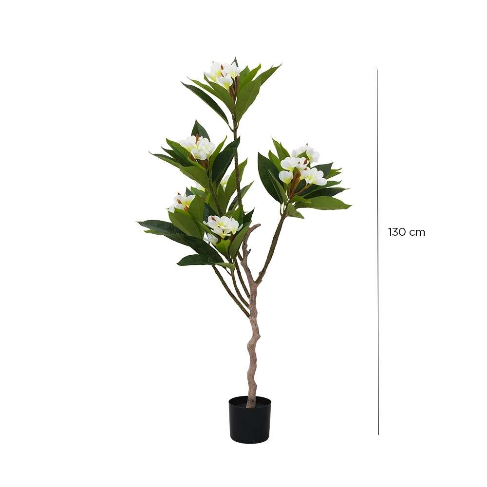 Grevia Egg Flower Tree 130Cm - Image 2