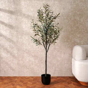 Grevia Olive Tree 150Cm