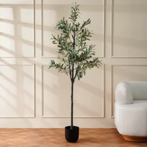 Grevia Olive Tree 180Cm