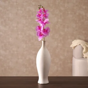 Grevia Orchids Flower Purple 100Cm (Vase Not Included)