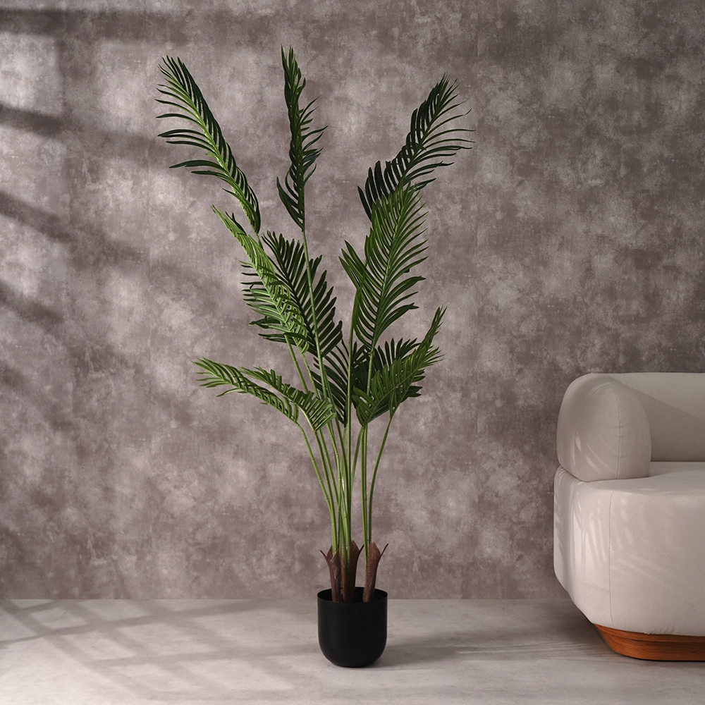 Grevia Paradise Palm 160Cm