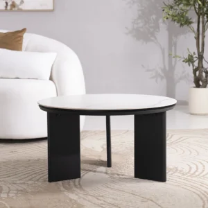 Agilin Coffee Table