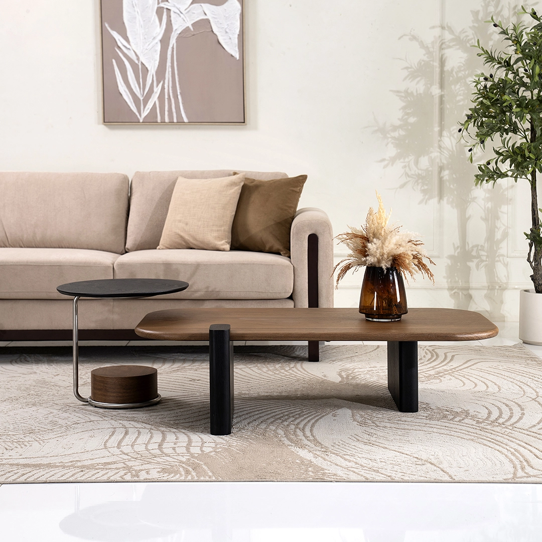 Barcelona 2-piece Coffee Table Set