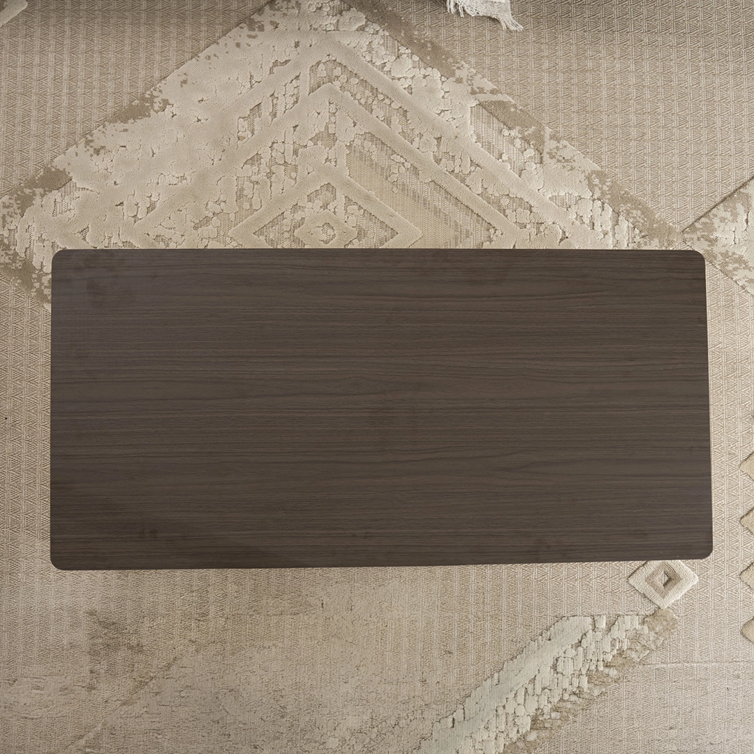 Cicada Coffee Table - Image 6