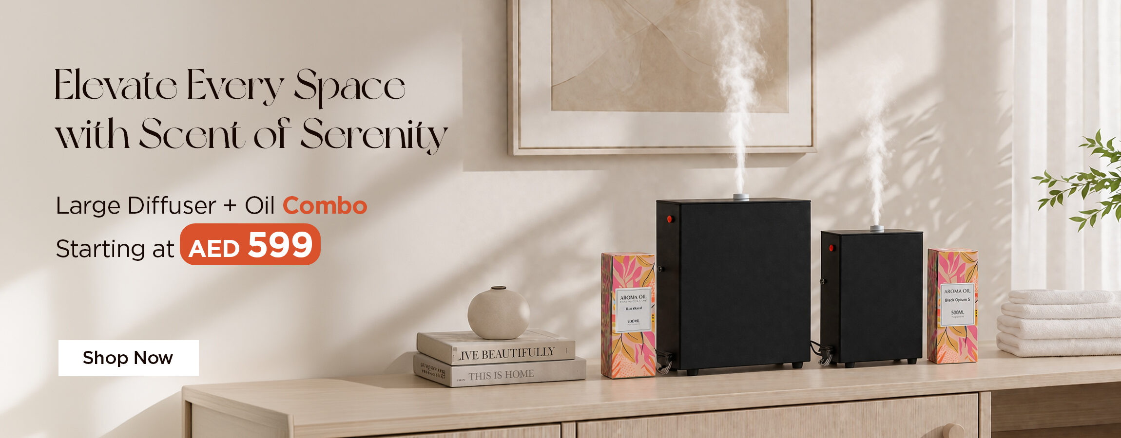 HUMIDIFIER BANNER 1.jpg