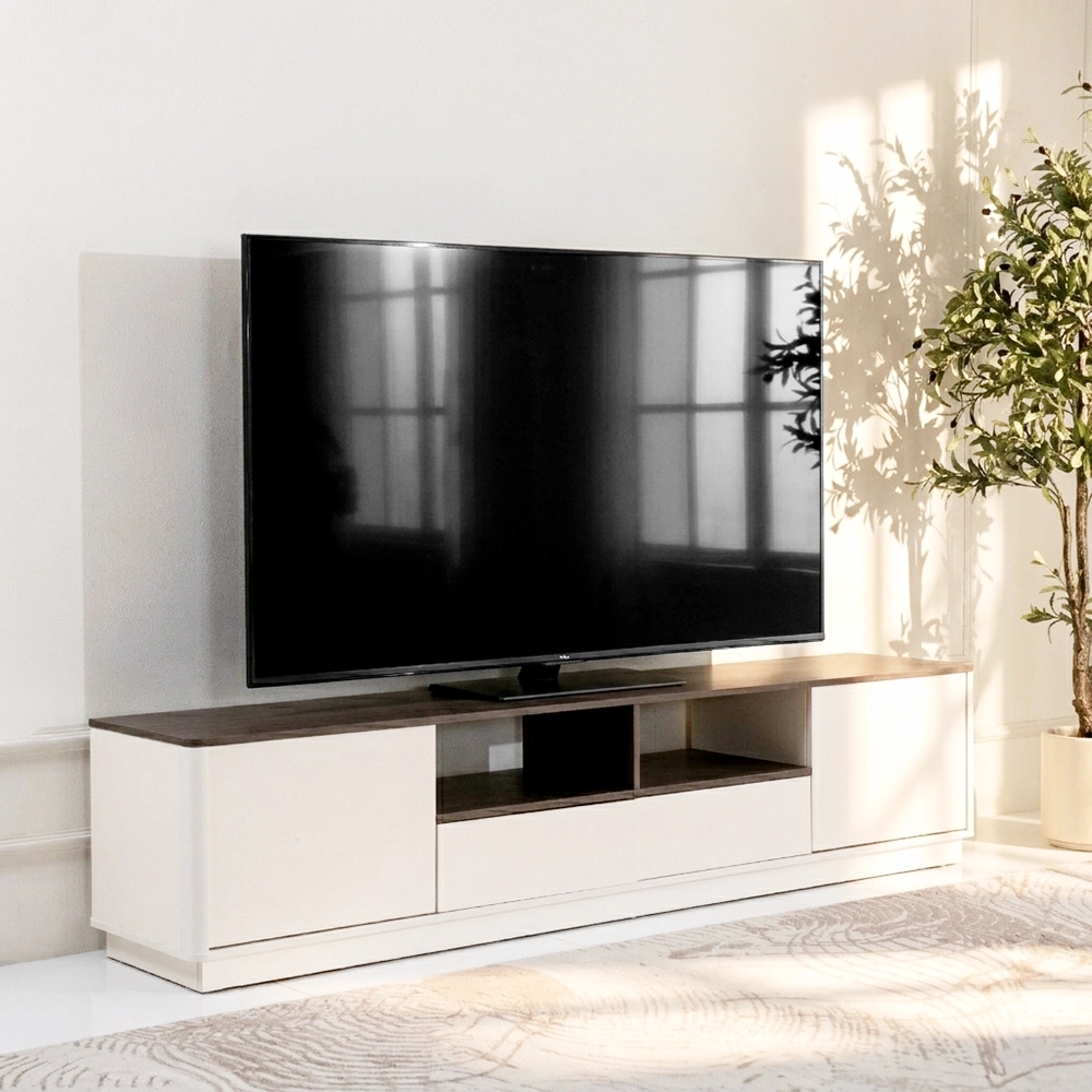 Cicada Tv Unit